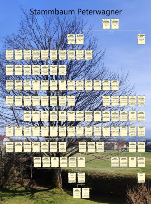 Stammbaum 12 Generationen Stammbaum 12 Generationen